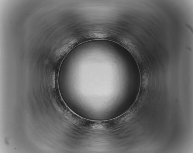 X0000102270358200808011433