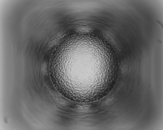 X0000102270359200808011433