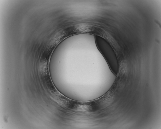 X0000102270360200808011433