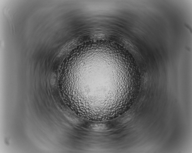 X0000102270361200808011433