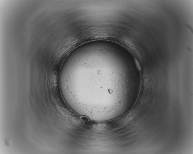 X0000102270362200808011433