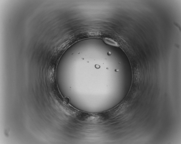 X0000102270364200808011433
