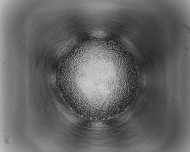X0000102270365200808011433