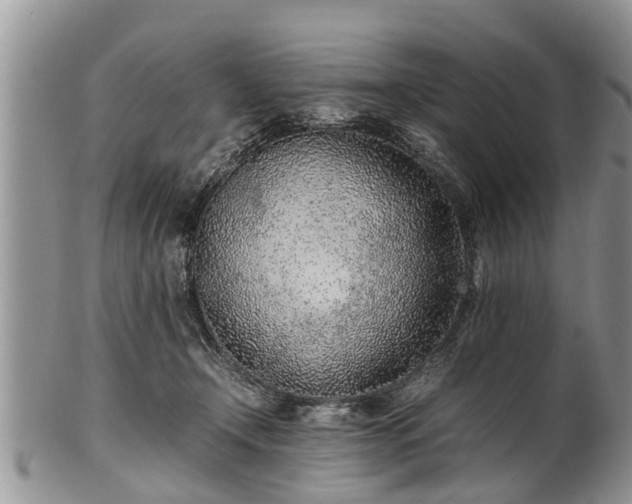 X0000102270366200808011433