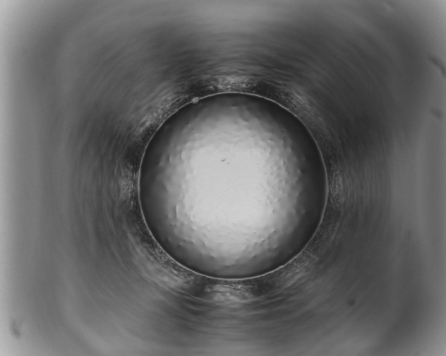 X0000102270367200808011433