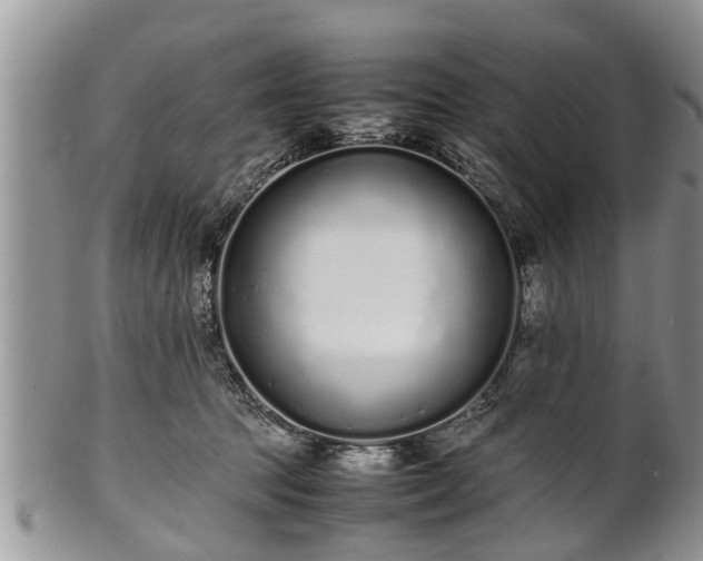 X0000102270369200808011433