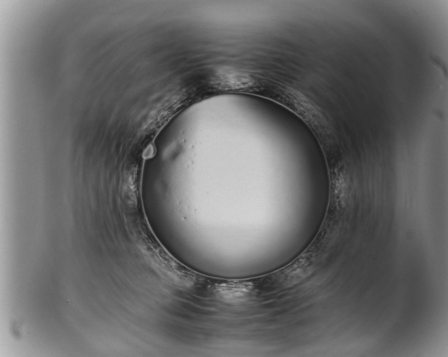 X0000102270373200808011433