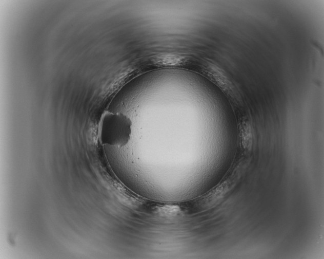 X0000102270374200808011433
