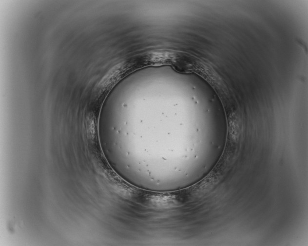 X0000102270375200808011433