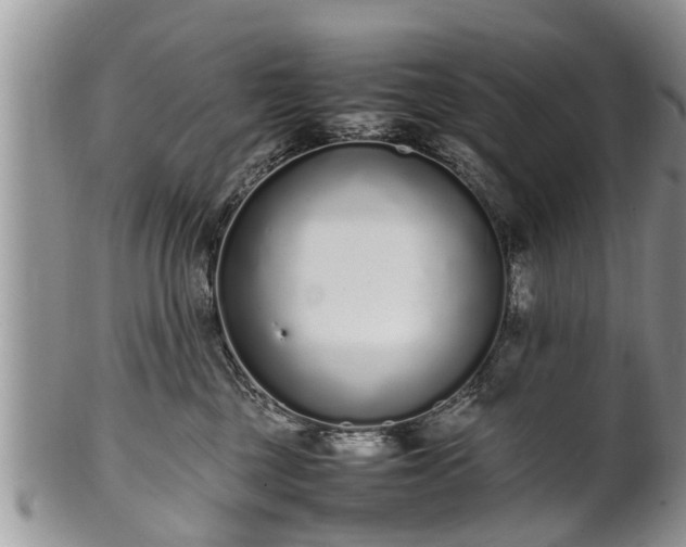 X0000102270377200808011433