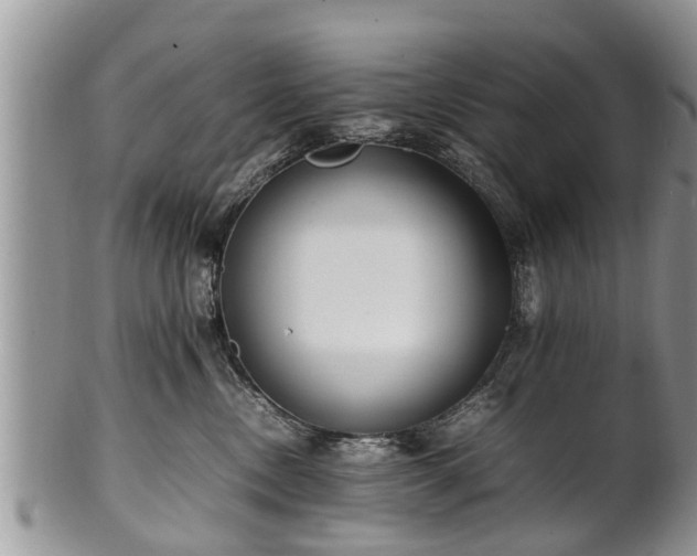 X0000102270378200808011433