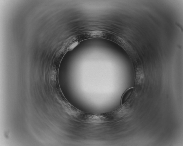 X0000102270379200808011433