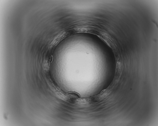 X0000102270381200808011433