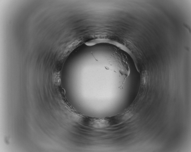 X0000102270383200808011433