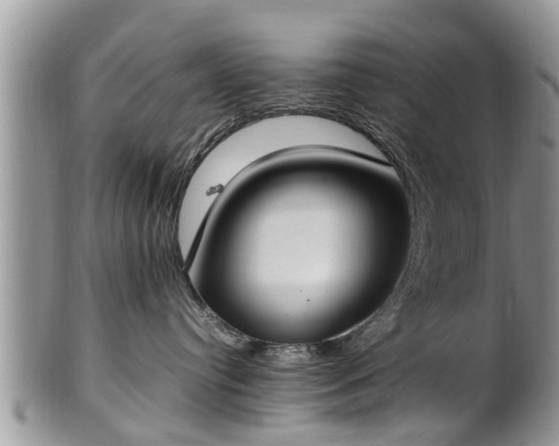 X0000102270384200808011433