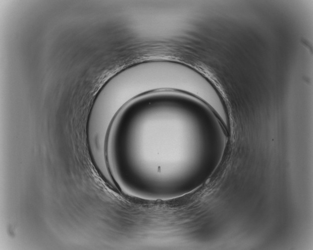 X0000102270385200808011432