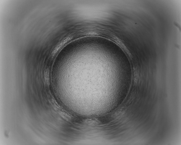 X0000102270386200808011432