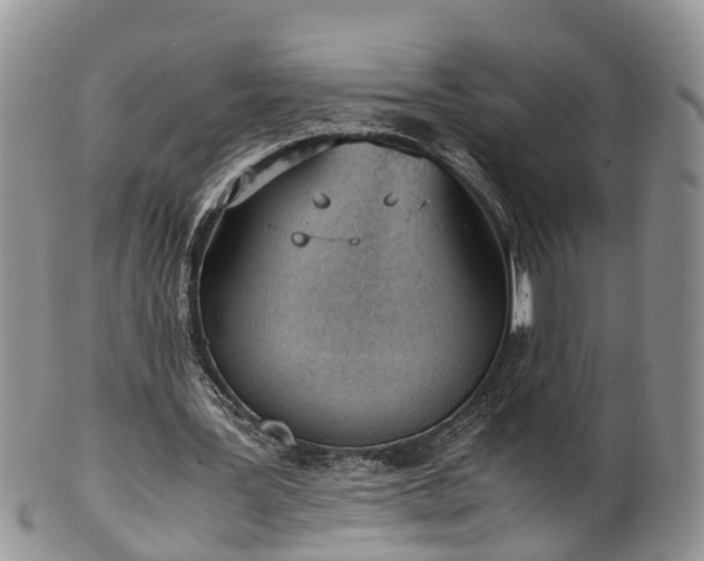 X0000102270387200808011432