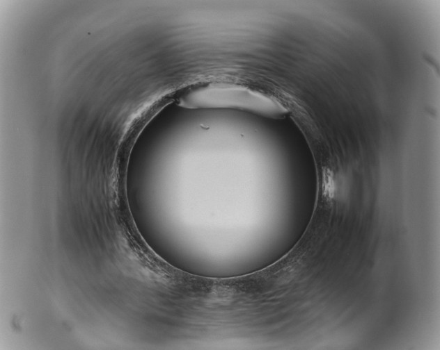 X0000102270388200808011432