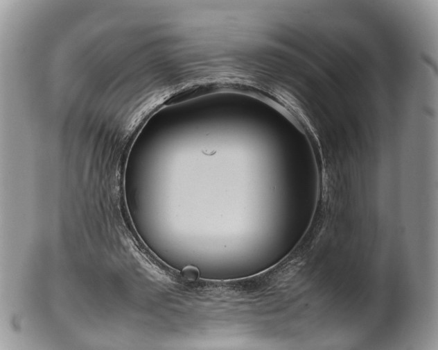 X0000102270389200808011432