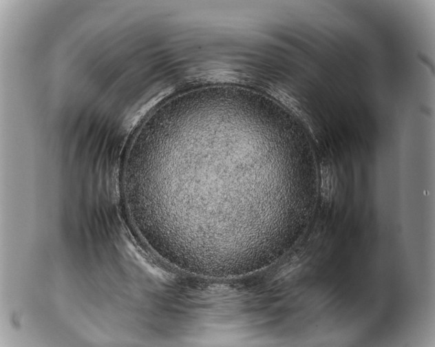 X0000102270390200808011432