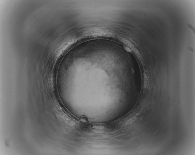 X0000102270391200808011432