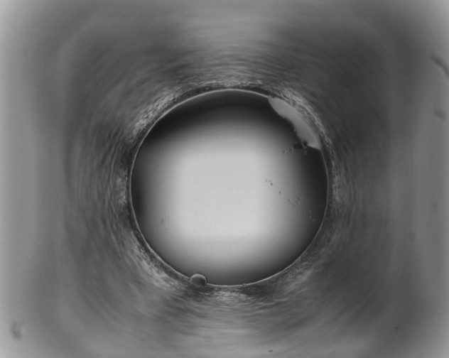 X0000102270393200808011432