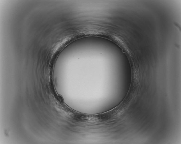 X0000102270395200808011432