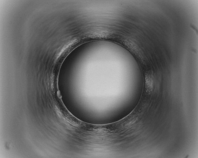 X0000102270396200808011432