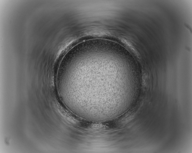 X0000102270399200808011432