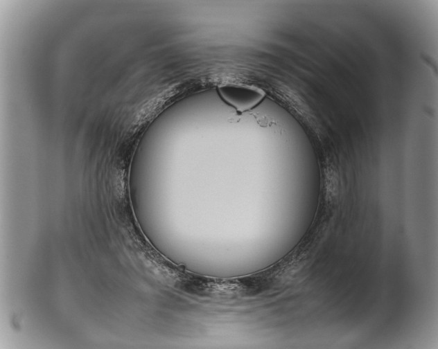 X0000102270401200808011432
