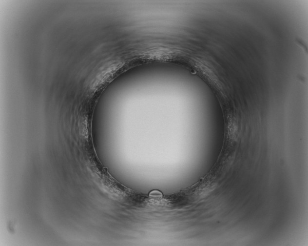 X0000102270403200808011432