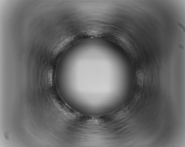 X0000102270404200808011432