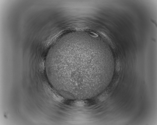 X0000102270405200808011432