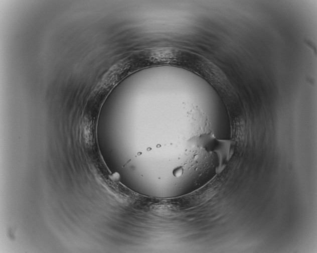 X0000102270408200808011432
