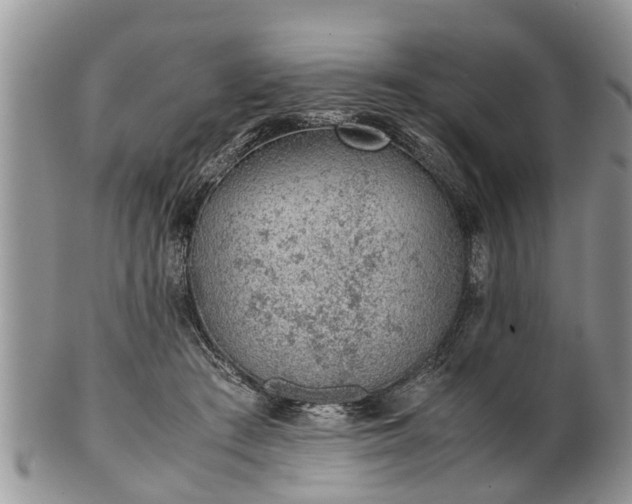 X0000102270409200808011432