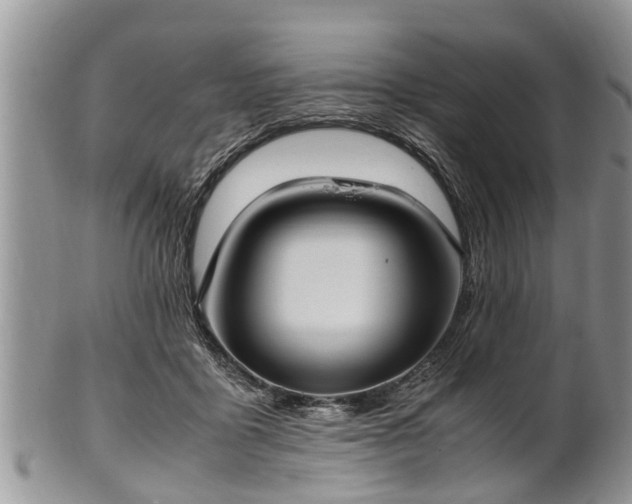 X0000102270411200808011432