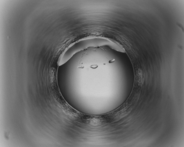 X0000102270412200808011432
