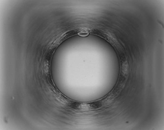 X0000102270413200808011432