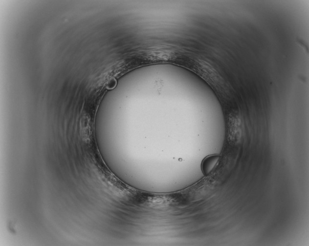 X0000102270414200808011432