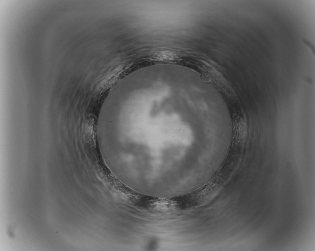 X0000102270415200808011432