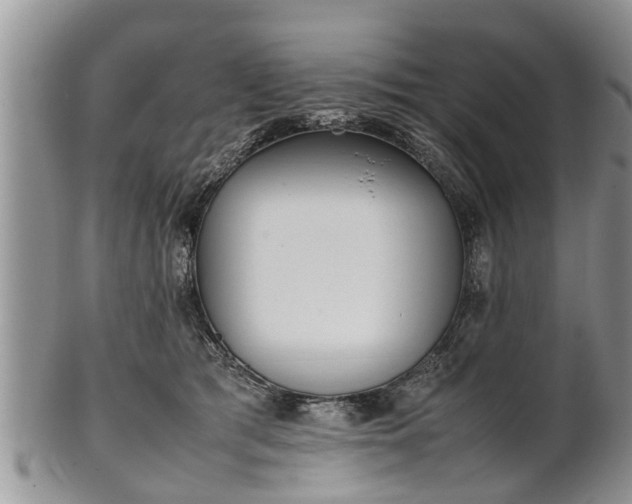 X0000102270417200808011432