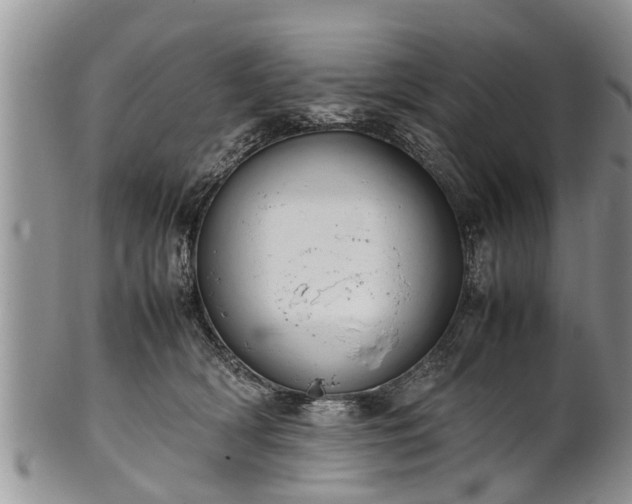 X0000102270418200808011432