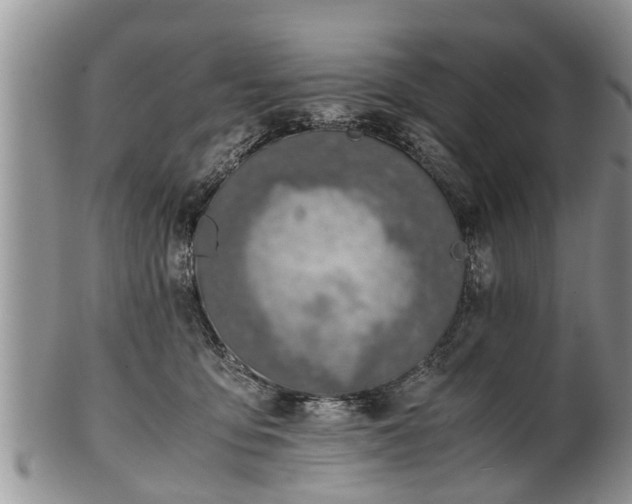 X0000102270419200808011432