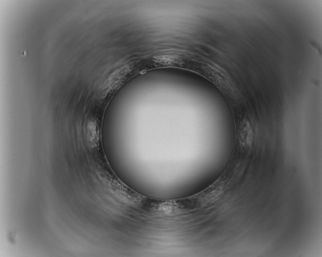 X0000102270420200808011432