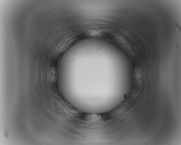 X0000102270421200808011432