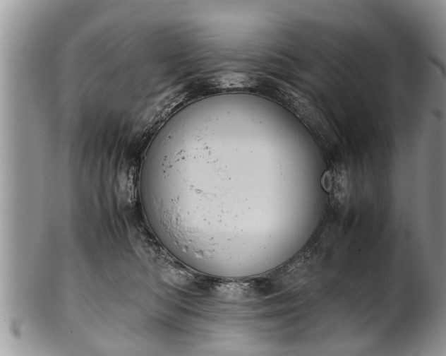 X0000102270422200808011432