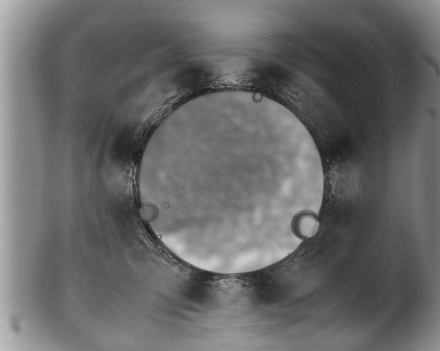 X0000102270423200808011432