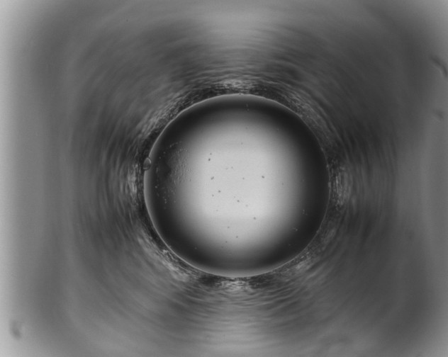X0000102270424200808011432