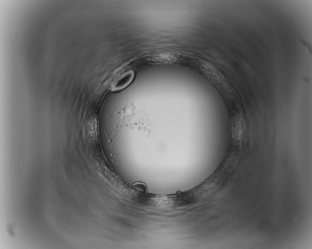 X0000102270425200808011432